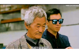 成县债务清欠服务