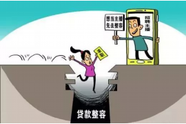 成县工资清欠服务