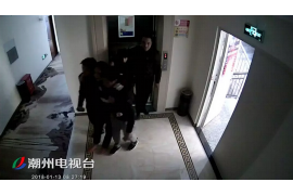 成县债务清欠服务